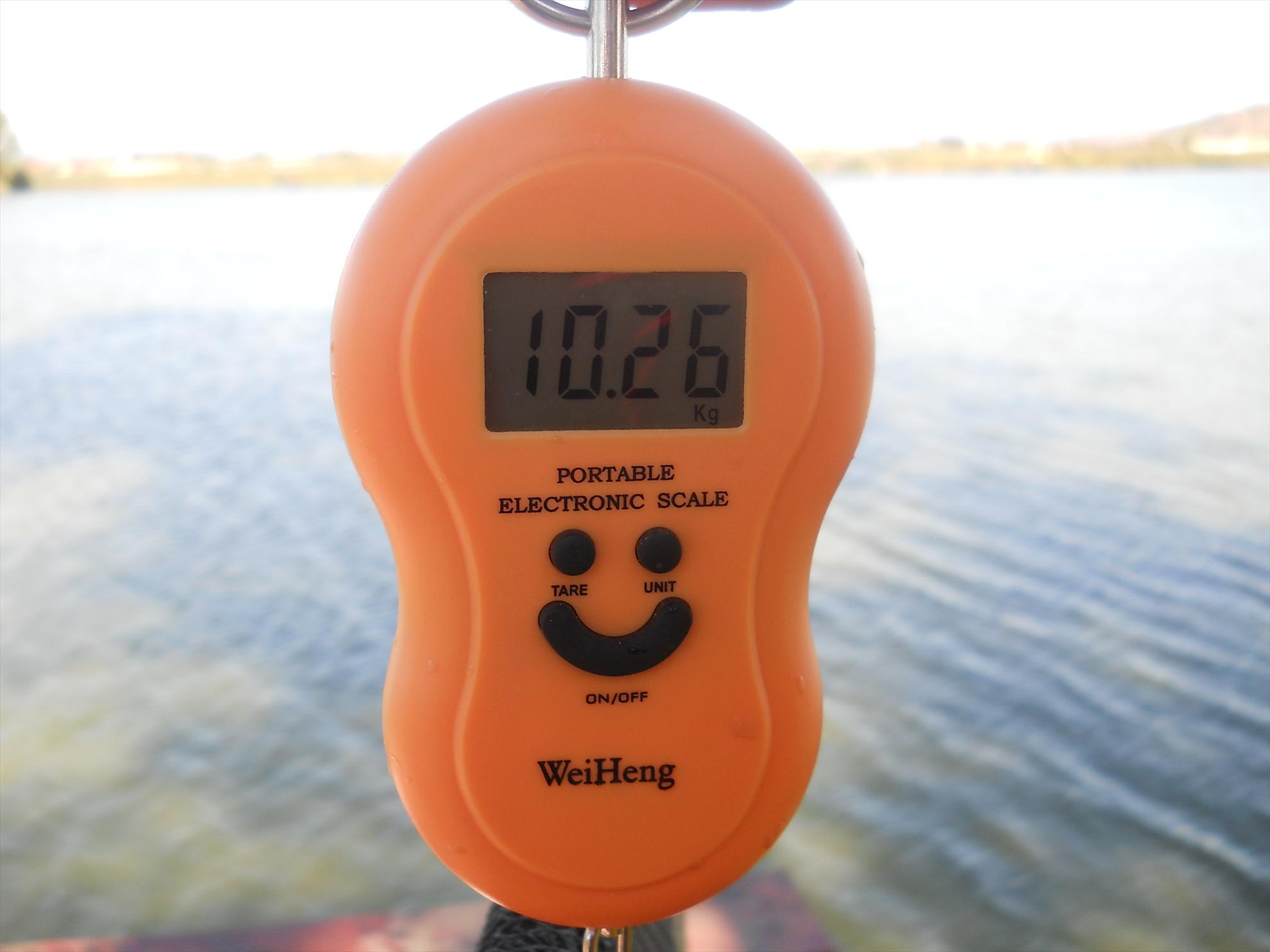 Pleasa 2012 - dscn1078.JPG